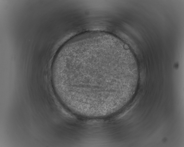 X0000094200721200711241636