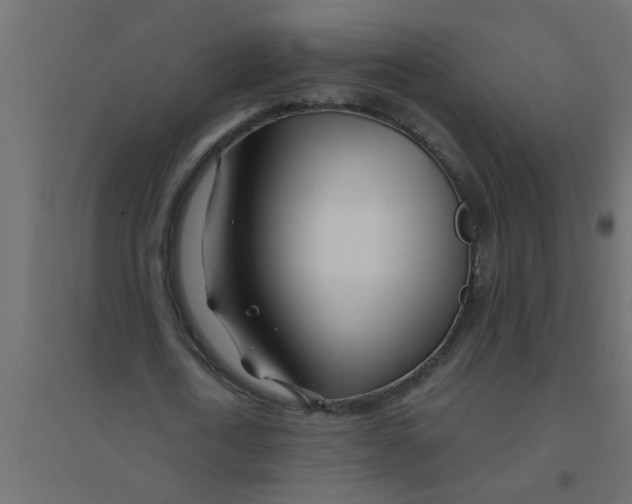 X0000094200722200711241636