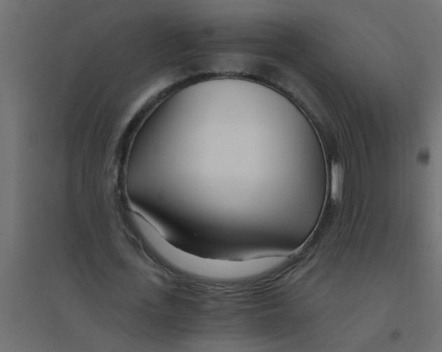 X0000094200723200711241636