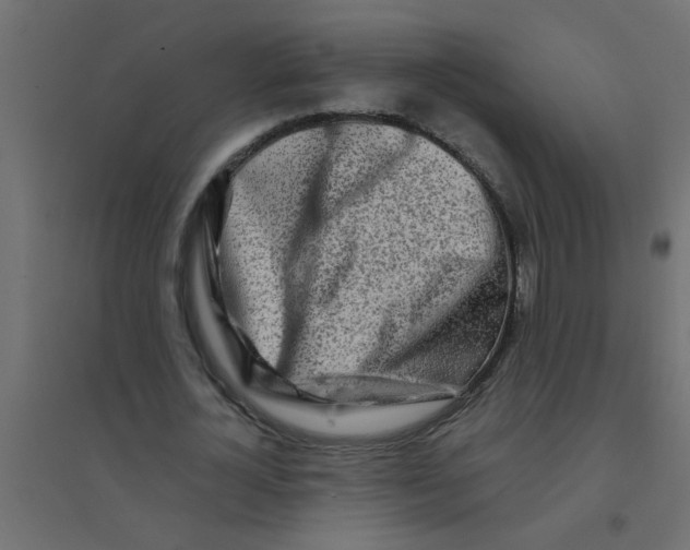 X0000094200724200711241636