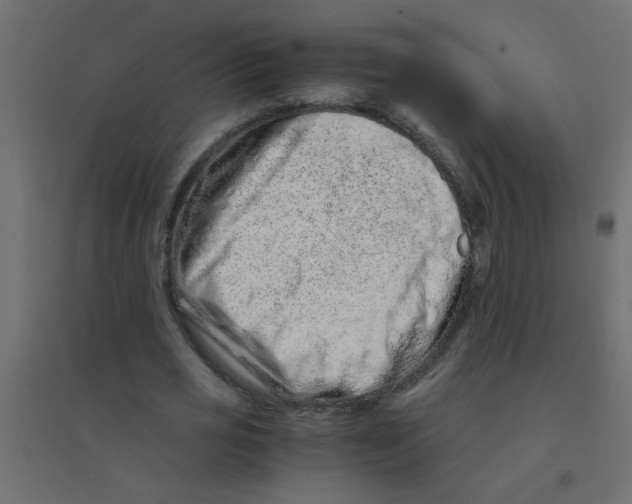 X0000094200725200711241636