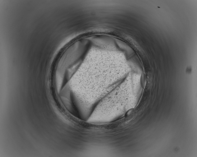 X0000094200726200711241636