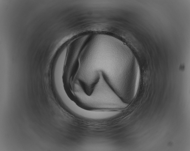 X0000094200727200711241636