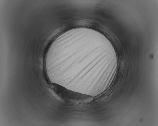 X0000094200729200711241636