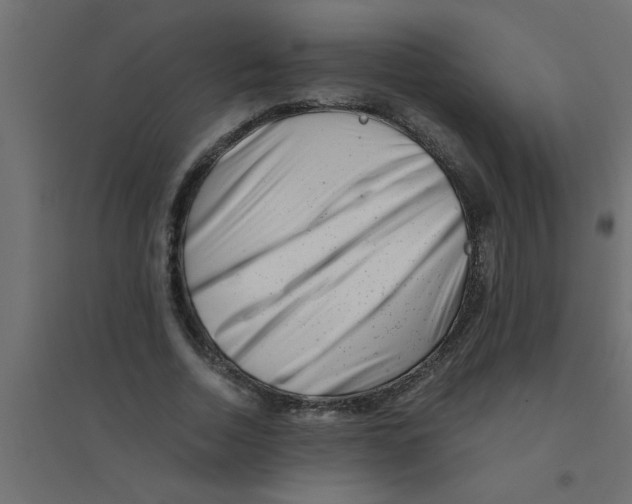 X0000094200730200711241636