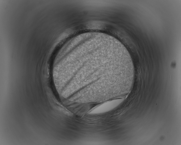 X0000094200731200711241636