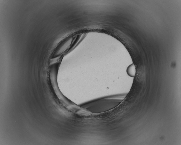 X0000094200732200711241636