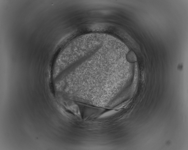 X0000094200733200711241636