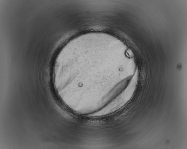 X0000094200734200711241636
