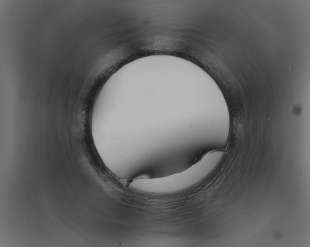 X0000094200735200711241636