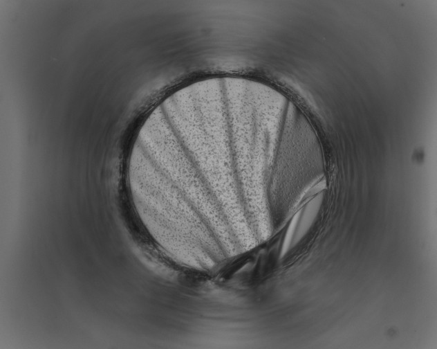 X0000094200736200711241636