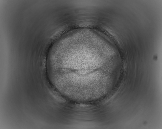 X0000094200737200711241636