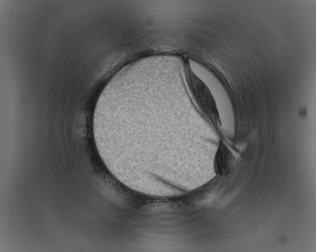 X0000094200738200711241636