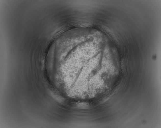 X0000094200741200711241637