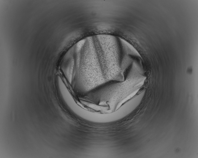 X0000094200742200711241637