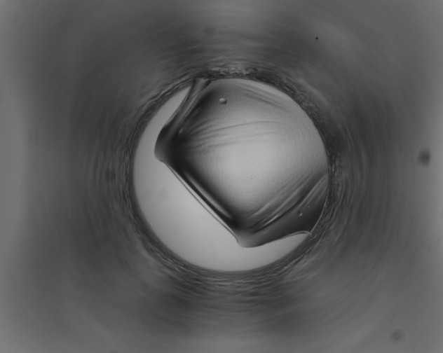 X0000094200747200711241637