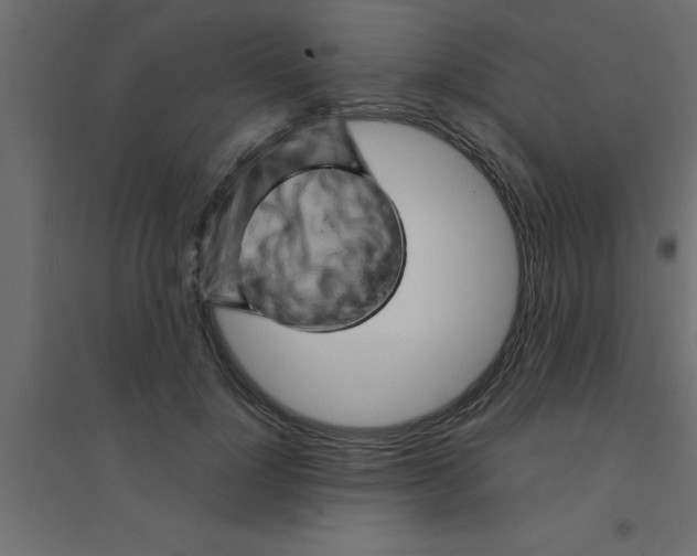 X0000094200748200711241637