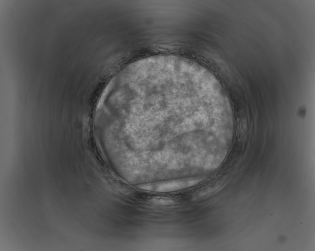 X0000094200749200711241637