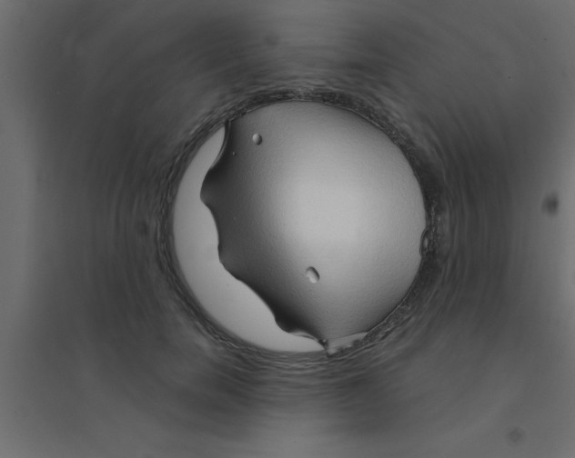 X0000094200750200711241637