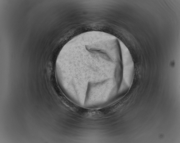 X0000094200752200711241637