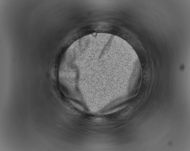X0000094200755200711241637