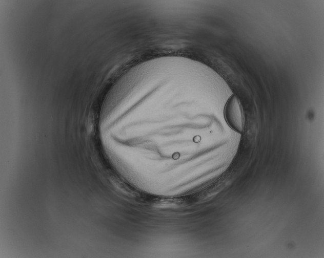 X0000094200758200711241637
