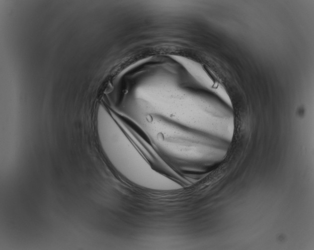 X0000094200759200711241637