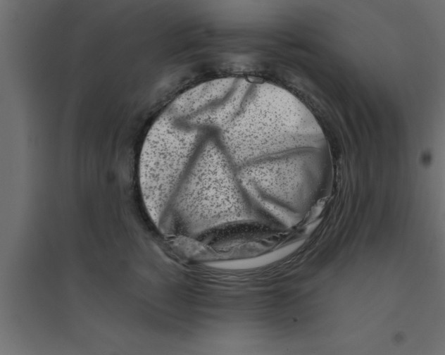 X0000094200760200711241637