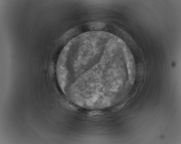 X0000094200761200711241637