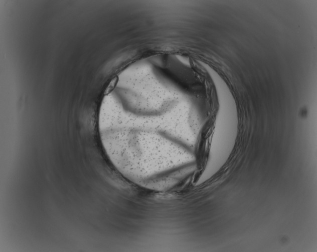 X0000094200762200711241637