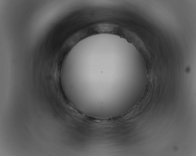 X0000094200763200711241637