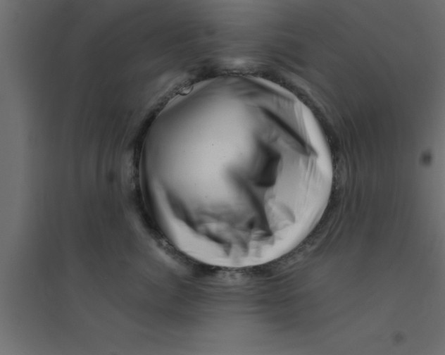 X0000094200764200711241637