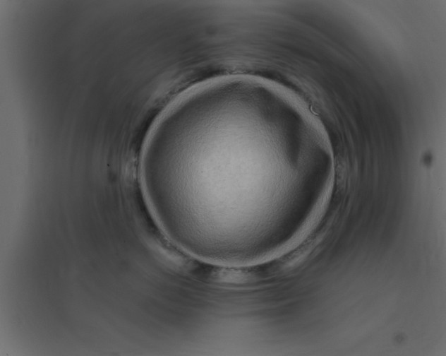 X0000094200766200711241637