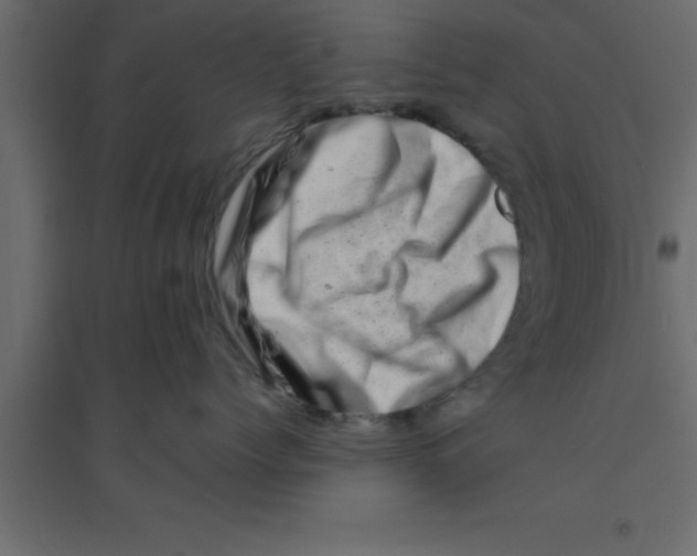 X0000094200768200711241637