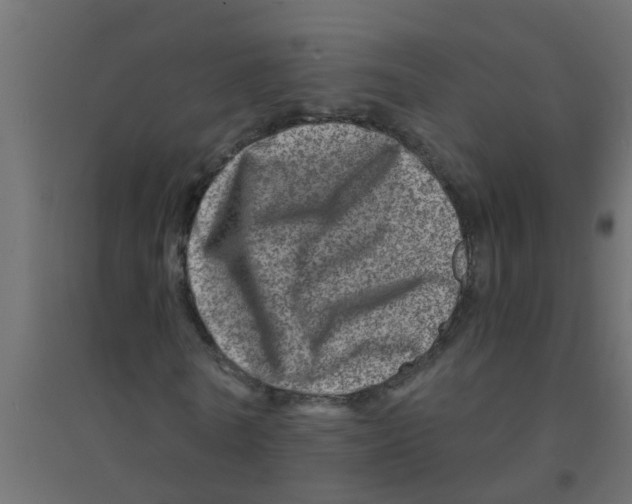 X0000094200770200711241636