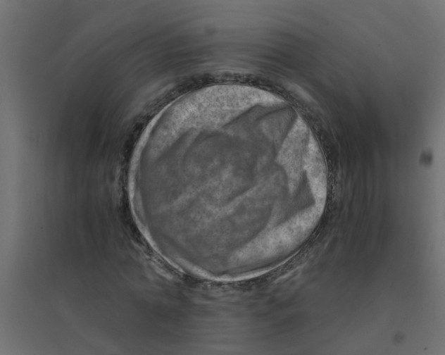 X0000094200774200711241636
