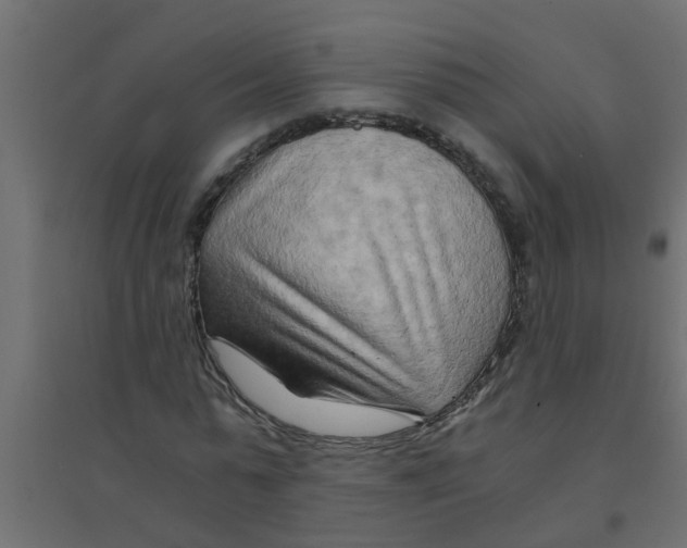 X0000094200775200711241636