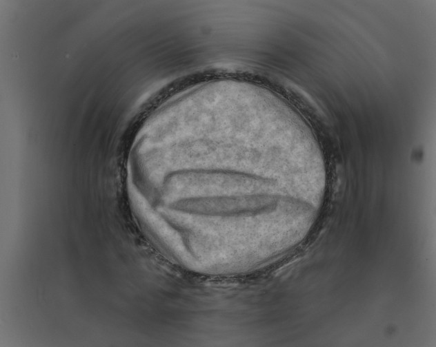 X0000094200776200711241636