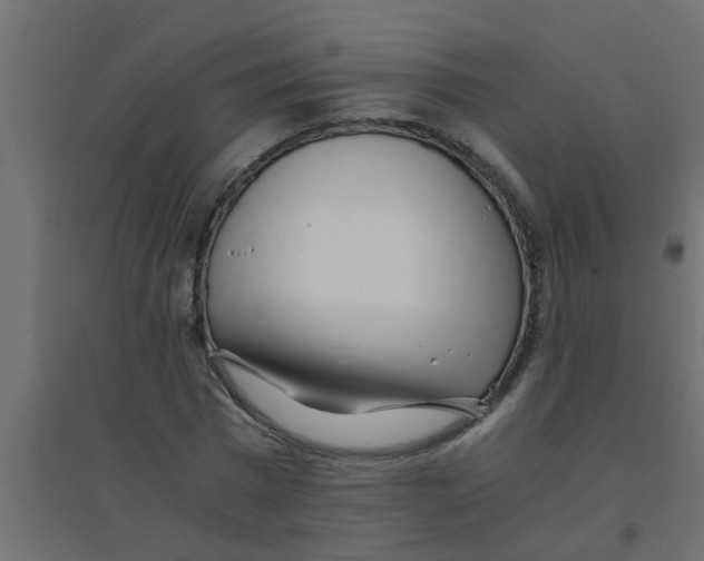 X0000094200777200711241636