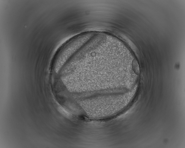 X0000094200779200711241636