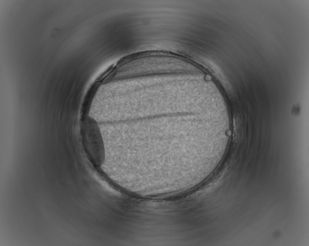 X0000094200780200711241636