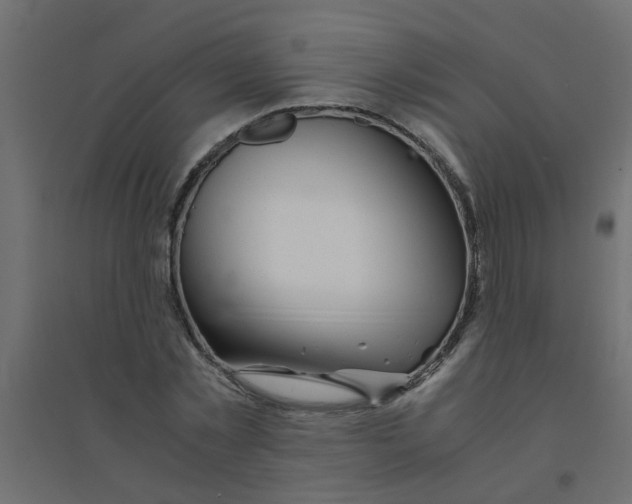 X0000094200781200711241636