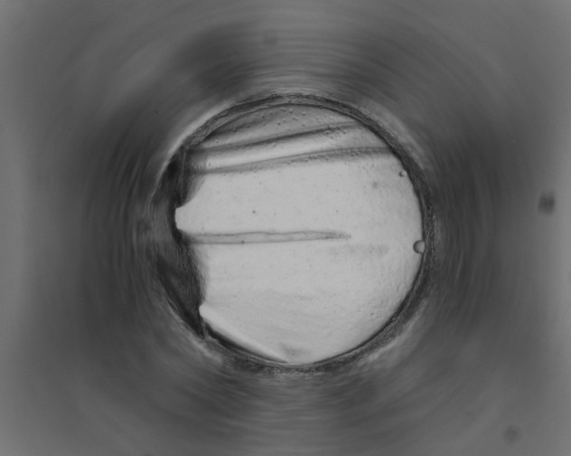 X0000094200782200711241636
