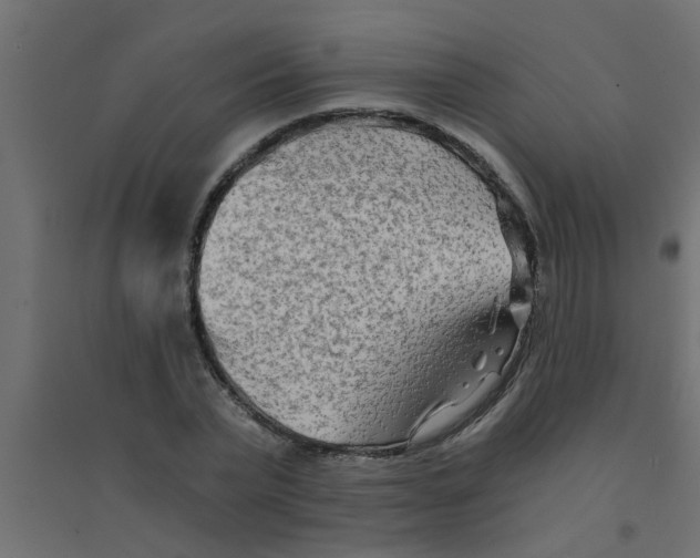 X0000094200783200711241636