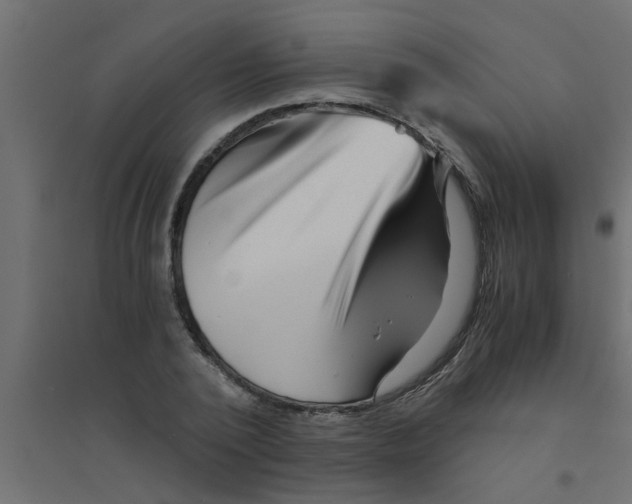 X0000094200784200711241636