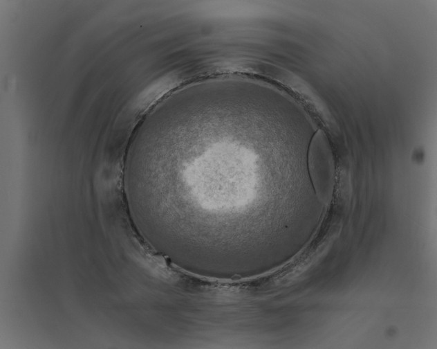 X0000094200785200711241636