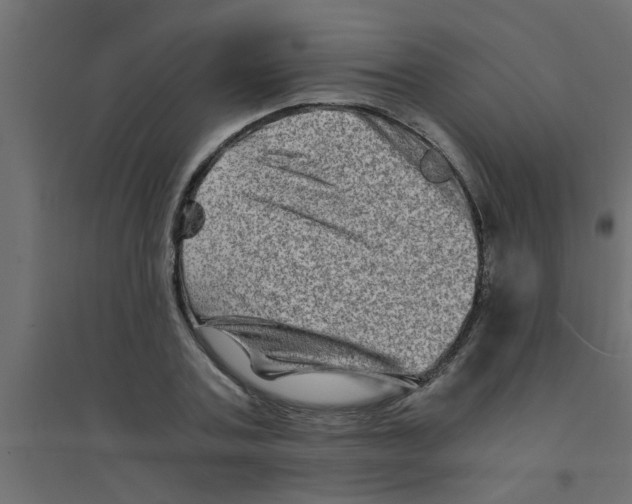 X0000094200787200711241636