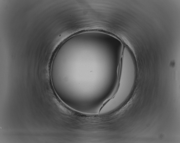 X0000094200789200711241636