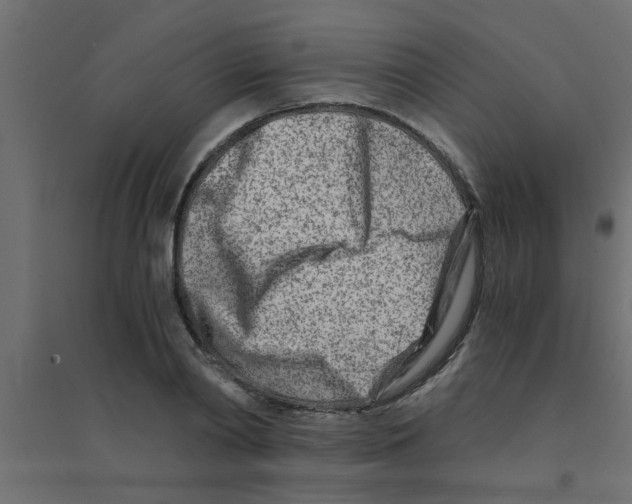 X0000094200790200711241636