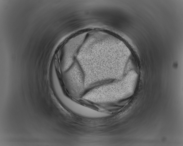 X0000094200791200711241636